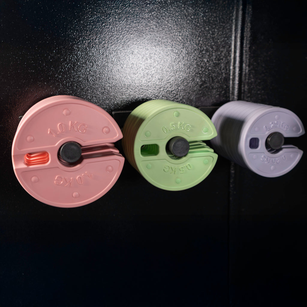 Micro & Fractional Weight Plates (0.25 kg – 1 kg Sets)