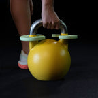 Micro & Fractional Weight Plates (0.25 kg – 1 kg Sets) - GymFit Tech - GFT-W025-PAIR-VIO